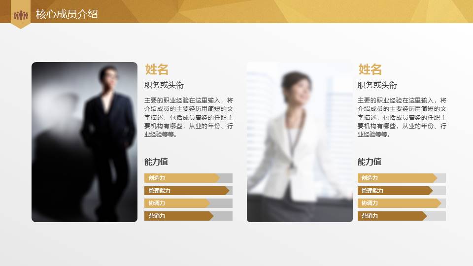 项目策划 (46).pptx